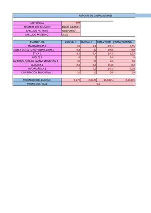 Reporte De Calificaciones