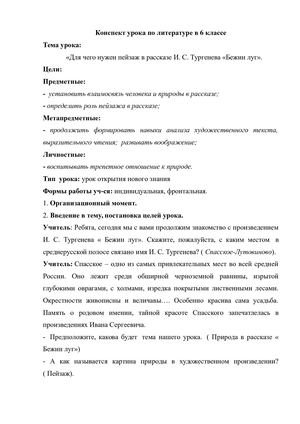 Конспект урока по литературе