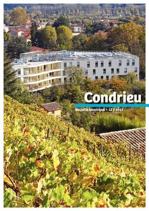 Condrieu 2018 Pour Site