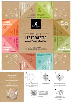 Cocotte Résolutions Ecogestes 2018