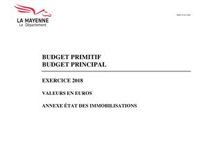 Bp 2018 Budget Principal Annexe Etat Des Immobilisations