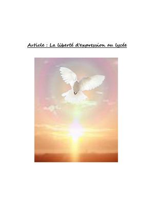 La Liberté D'expression Au Lycée
