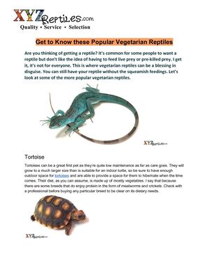 Get To Know These Popular Vegetarian Reptiles