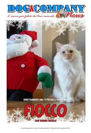 Dog&Company News - 29 Novembre 2017