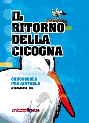 Il ritorno della cicogna