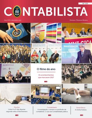 Contabilista 213