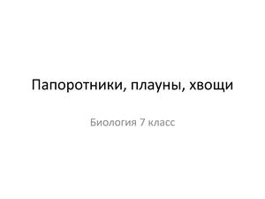 Био 7 Папоротники 20