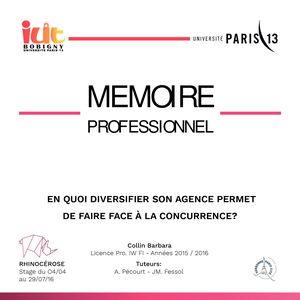 Mémoire l2 infographie-webdesigner