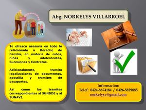 SERVICIOS PROFESIONALES DE ABOGADO