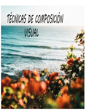 Tecnicas De Composicion Visual