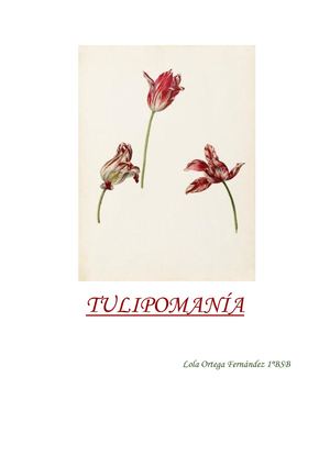 Tulipomanía Lola