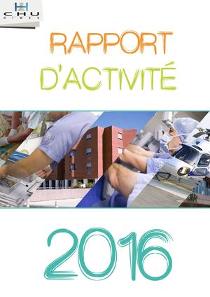 Rapport d'activites 2016
