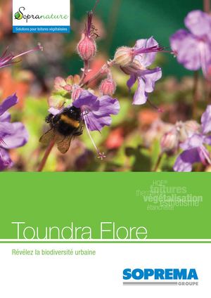 Gamme Toundra Flore