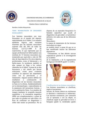 Rehabilitación en desgarros musculares