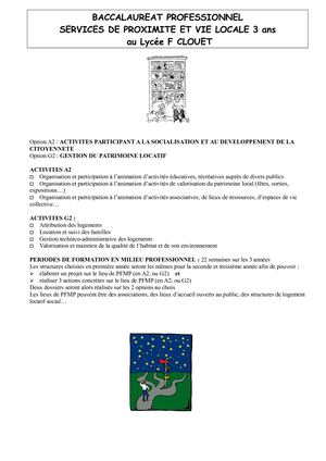 Baccalaureat Professionnel 2 Options 3 Ans