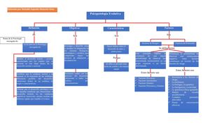 Mapa Conceptual Sobre Psicopatologia Evolutiva