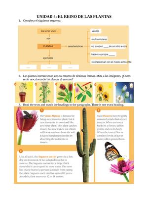 Unidad 4 Plantas