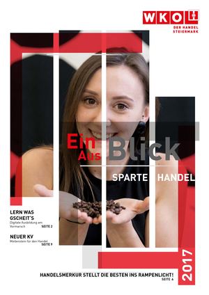 Leistungsbericht 2017