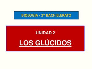 02 Los Glúcidos