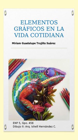 Elementos Gráficos En La Vida Cotidiana