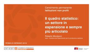 Il non profit in Italia