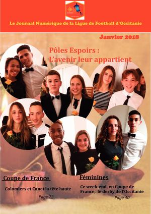 Journal numérique Janvier 2018