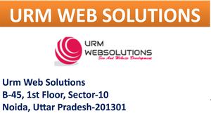 Best SEO Company in Noida