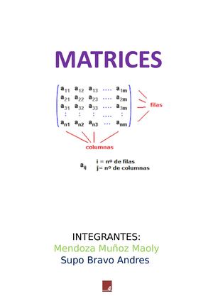 Libro De Matrices Corregido