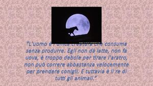 La Fattoria Degli Animali