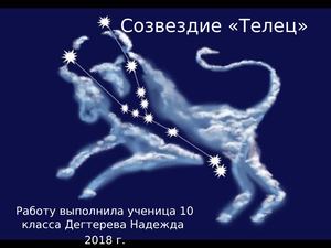 Созвездие «Телец»