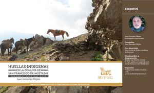 Huellas Indígenas Mostazal 2017