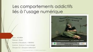 Les Comportements Addictifs Liés à L’usage Numérique Pp