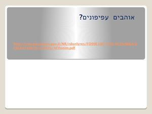 מצגת טקסט מפעיל