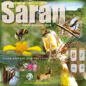 Guide Pratique Saran