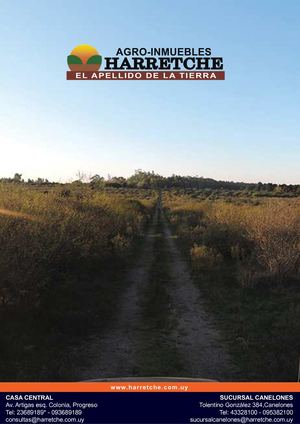 64 has en Los Cerrillos.