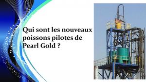 Qui Sont Les Nouveaux Poissons Pilotes De Pearl Gold