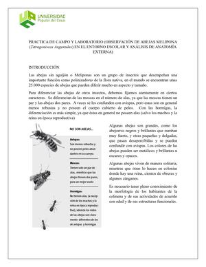 Practica De Campo Y Laboratorio