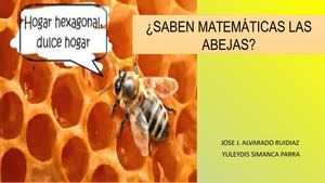 ¿Saben las abejas matemática?