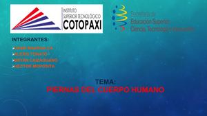 Presentacion De Ergonomia