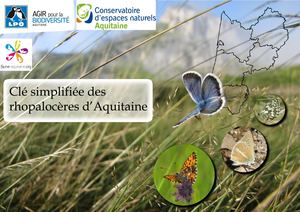 Clé Des Rhopalos 26 10 17