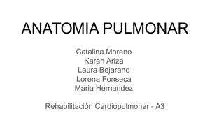 Anatomía Pulmonar