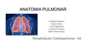 Anatomía Pulmonar