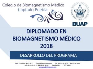 PROGRAMA DIPLOMADO EN BIOMAGNETISMO MEDICO
