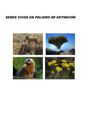 Información Especies En Extinción