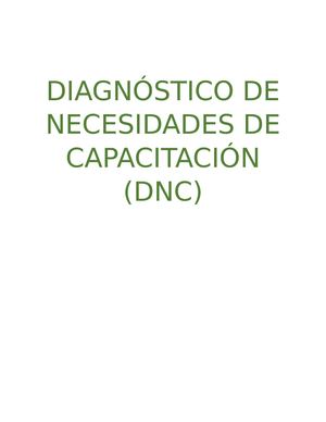 Diagnostico de Necesidades de Capacitación.