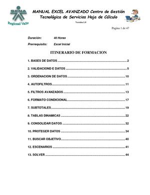 Manual Excel Avanzado 2