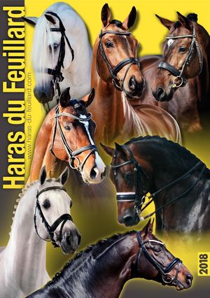 Brochure Haras Feuillard Annee 2018 Hd