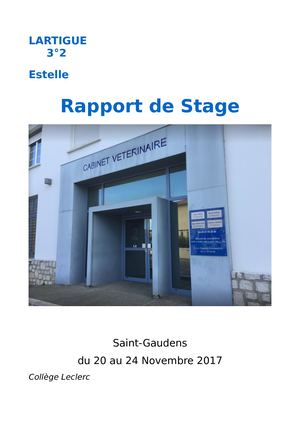 32 Lartigue Estelle Rapport De Stage