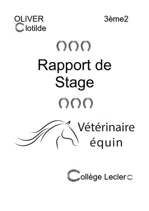 Rapport De Stage Officiel 12022018 Essai