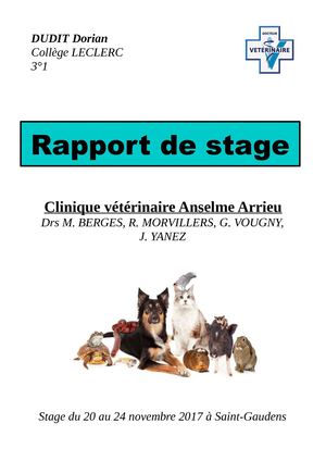 3°1 Dudit Dorian Rapport De Stage